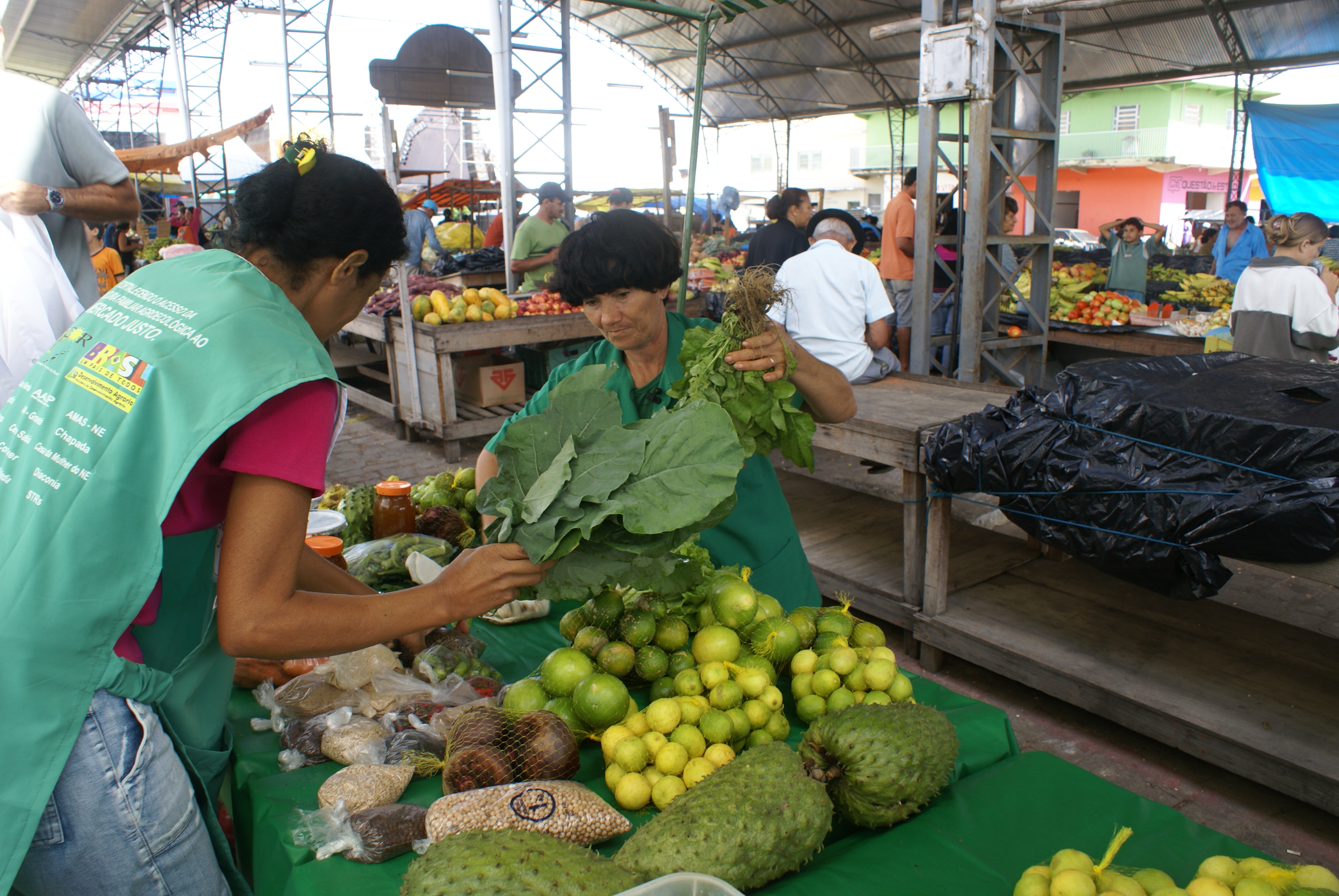 Comercializacao em Feira Agroecologica.JPG